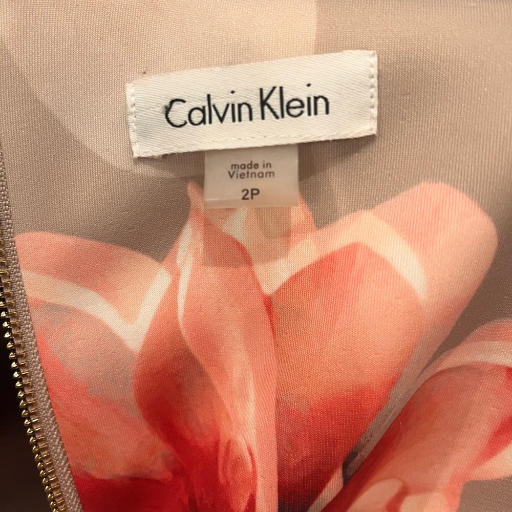Calvin Klein Beige Pink Floral Print Sheath Dress - Size 2P Petite - Picture 3 of 4